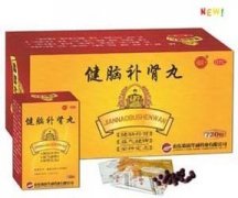 健脑补肾丸