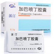 派汀  加巴喷丁胶囊